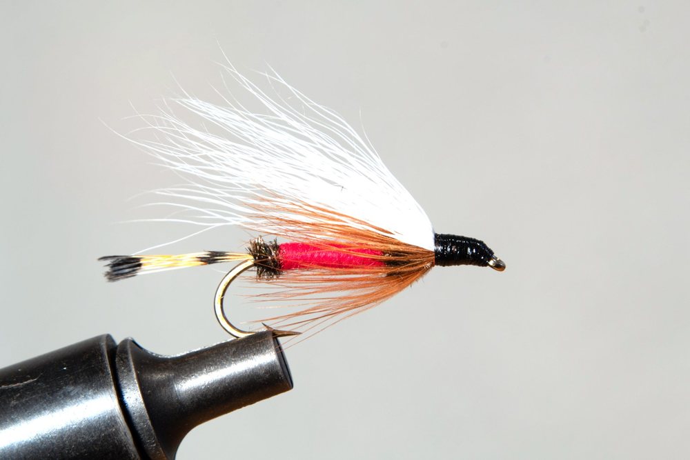 Attractor Streamer