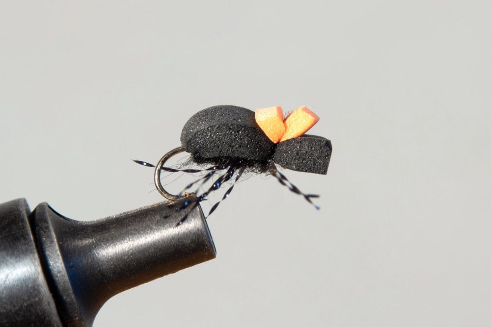 Beetle
