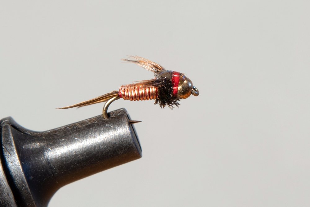 Copper John (Regular)
