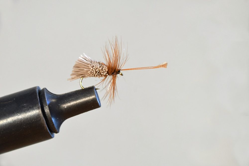 Goddard Caddis