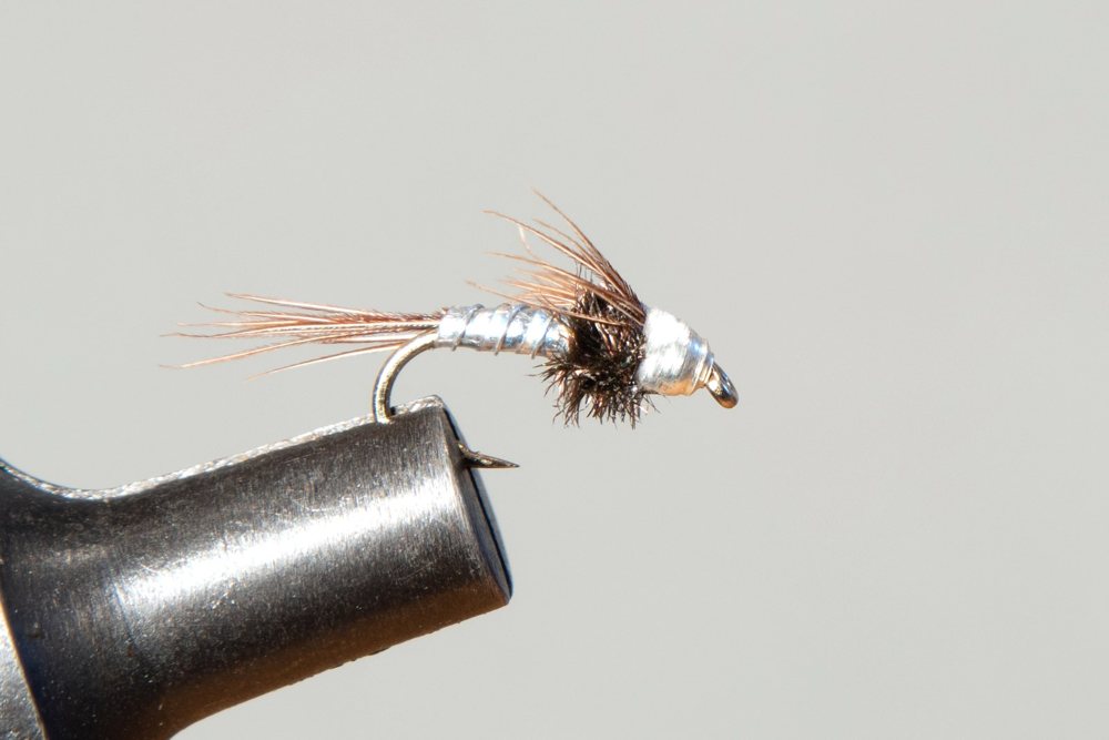 Lightning Bug