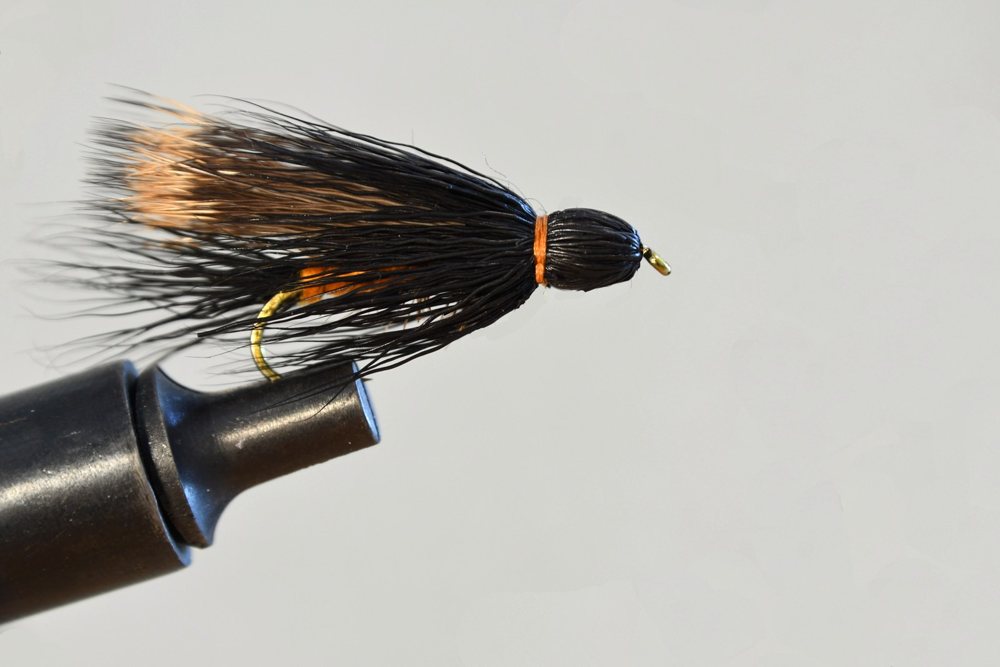 Salmonfly