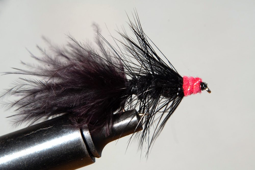 Woolly Bugger (Egg Sucking)