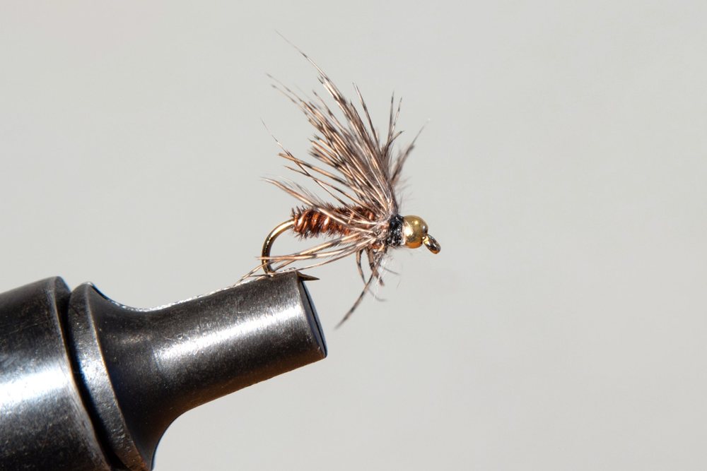 BH Soft Hackle Pheasant Tail